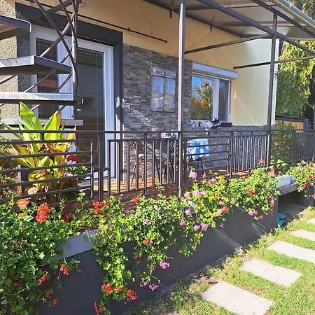 Boroka House شقة